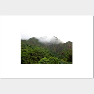 Iao Valley State Park Study 5 Posters and Art